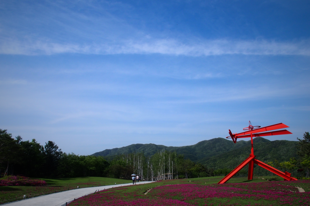 Museum_SAN_flowers