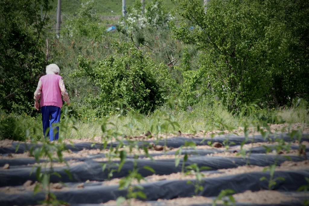 Wonju_farm