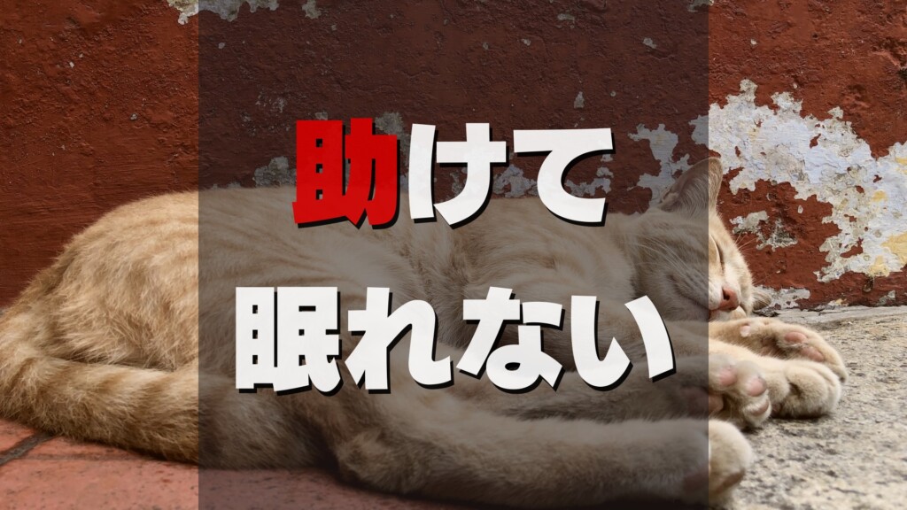 眠れない時どうする 暇つぶしにネットで見つけた方法を試したら10分で眠れたよ