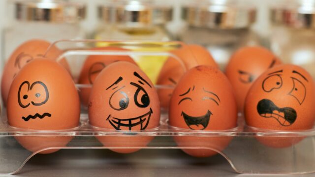 orange and white plastic egg toy